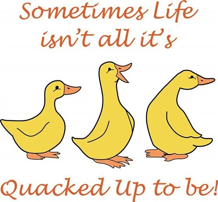 LIFE ISNT QUACKED UP