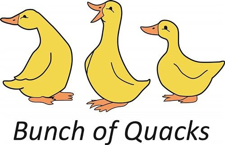 BUNCH OF QUACKS