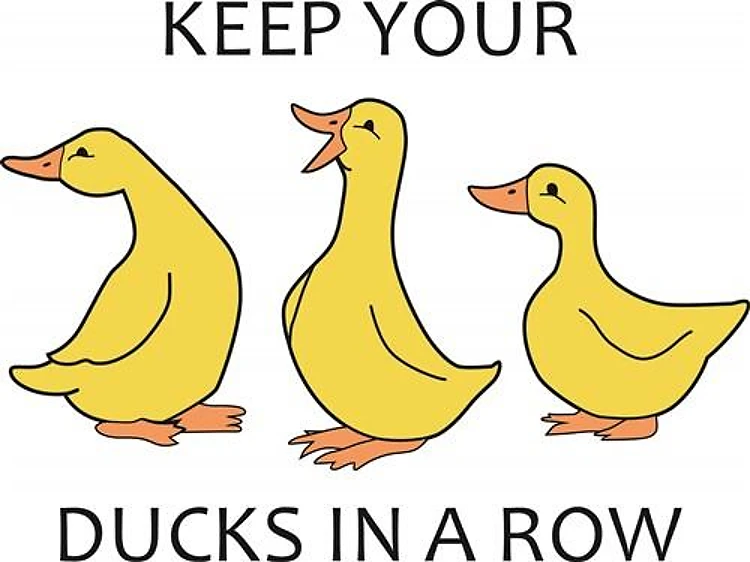 DUCKS IN A ROW