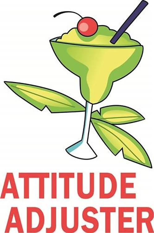 ATTITUDE ADJUSTER