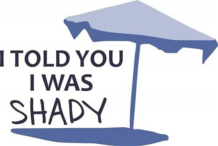 TOLD YOU I WAS SHADY