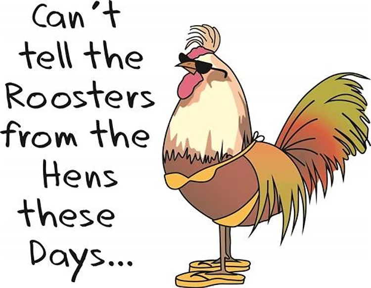 TELL ROOSTERS FROM HENS