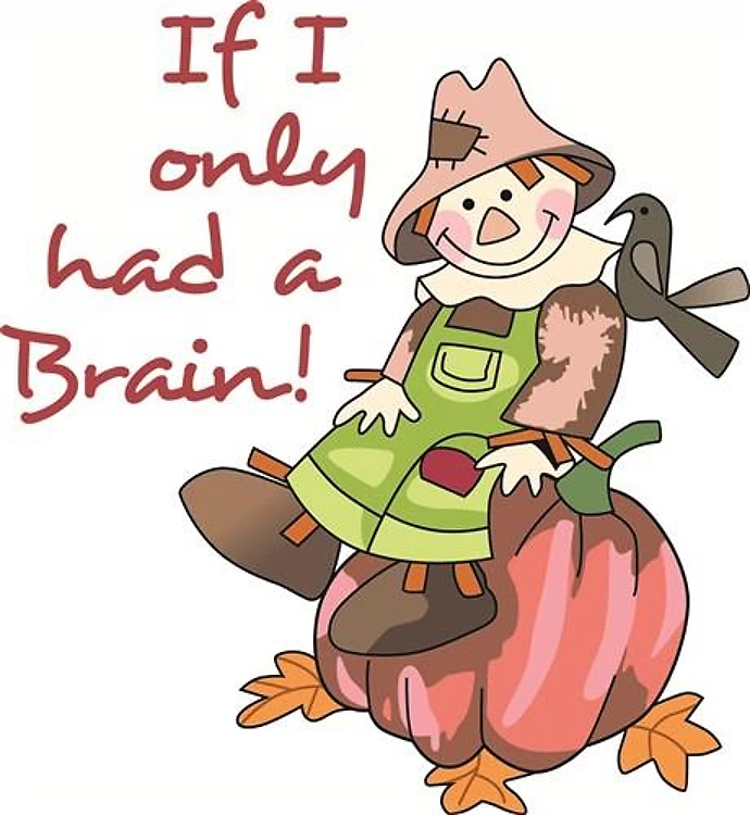 IF I ONLY HAD A BRAIN