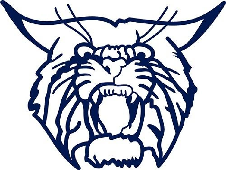 WILDCAT
