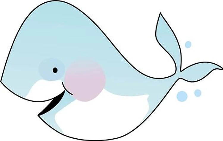 BABY WHALE
