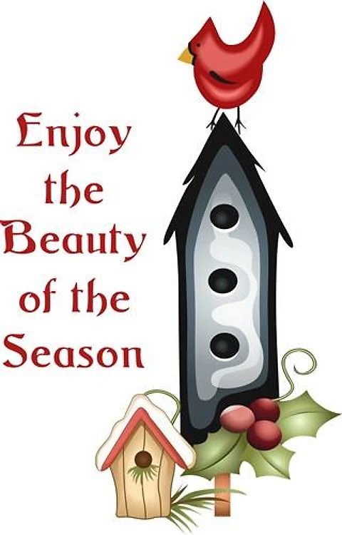 ENJOY THE BEAUTY