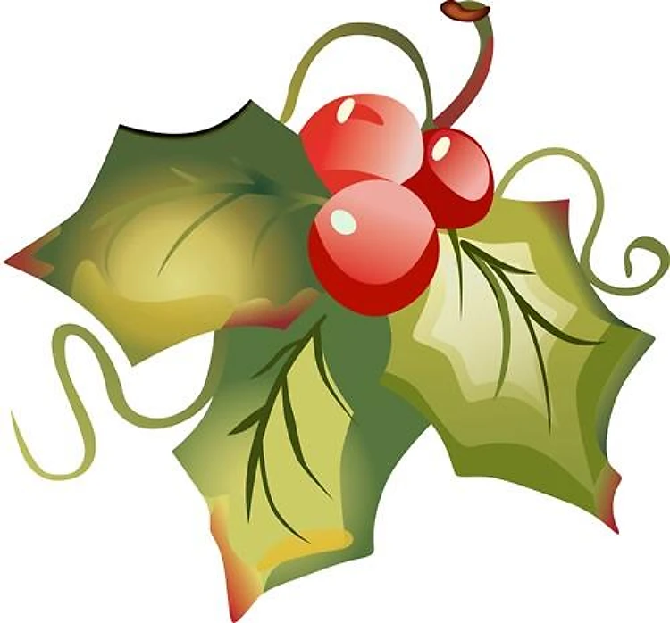 HOLLY LEAVES & BERRIES