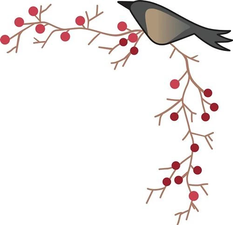 CROW AND BERRY BORDER