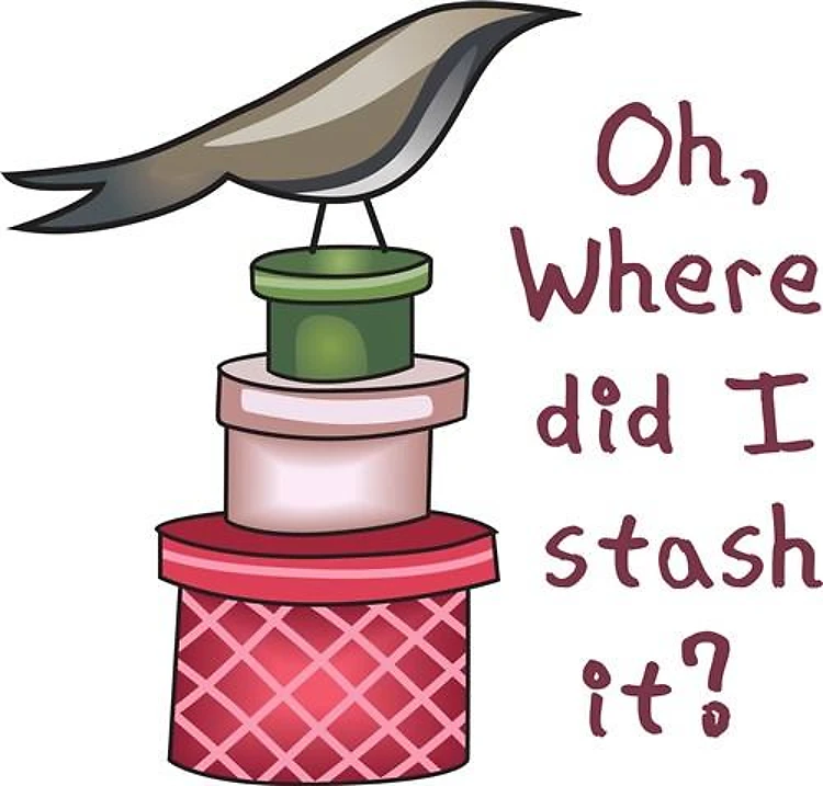 WHERE DID I STASH IT