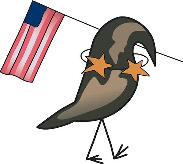 CROW WITH AMERICAN FLAG