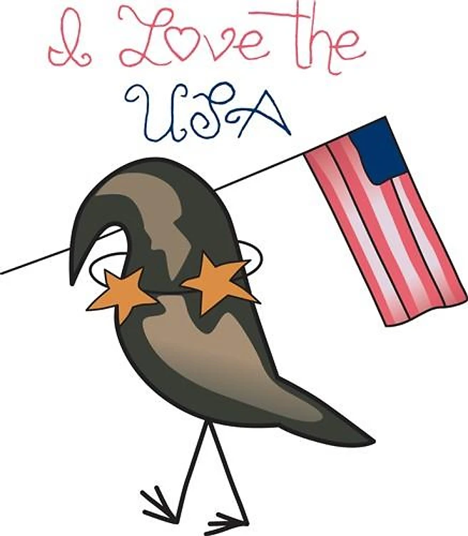 I LOVE THE USA