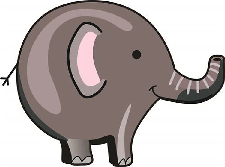 BABY ELEPHANT