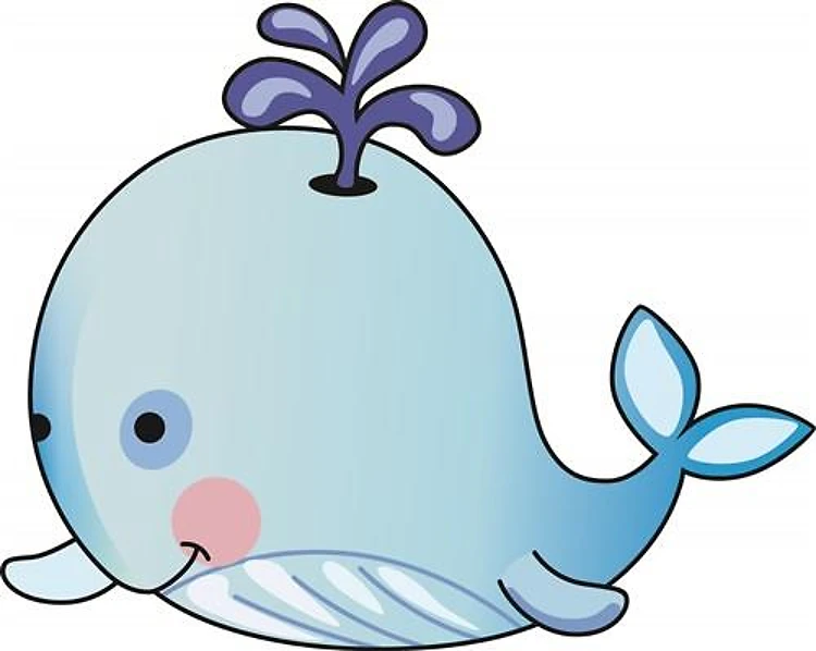 BABY WHALE