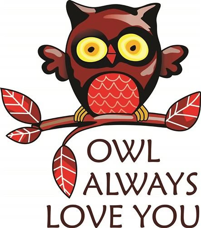 OWL ALWAYS LOVE YOU