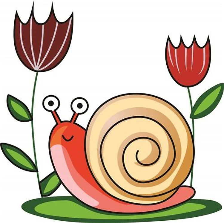 SNAIL AND FLOWERS
