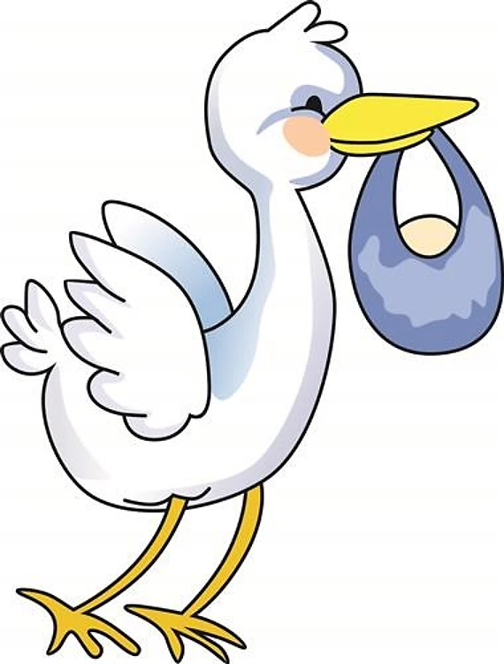 STORK WITH BABY BOY