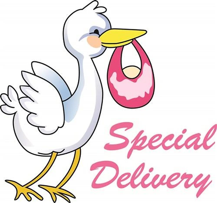 SPECIAL DELIVERY