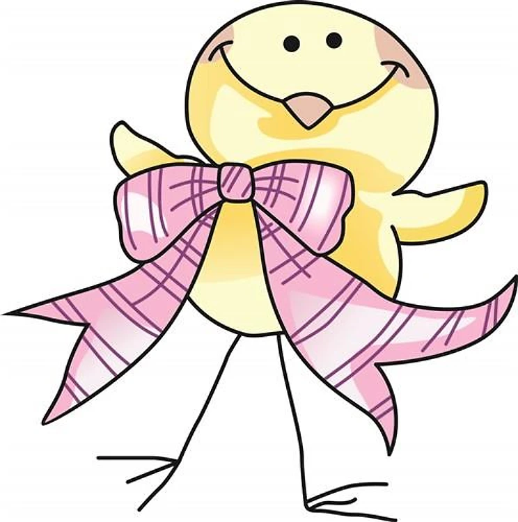 BABY CHICK
