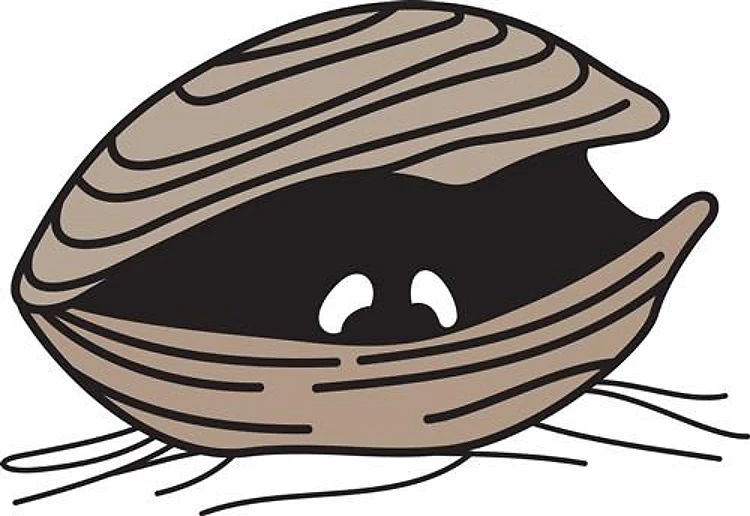 CLAM EYES