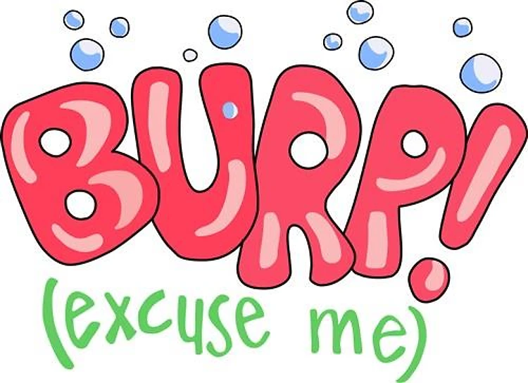 BURP Excuse Me