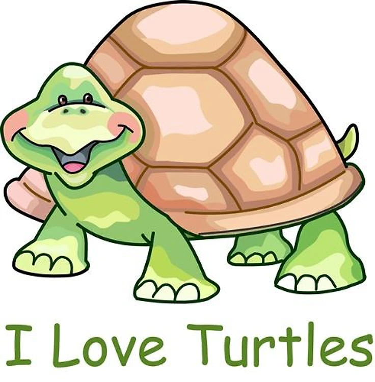I LOVE TURTLES