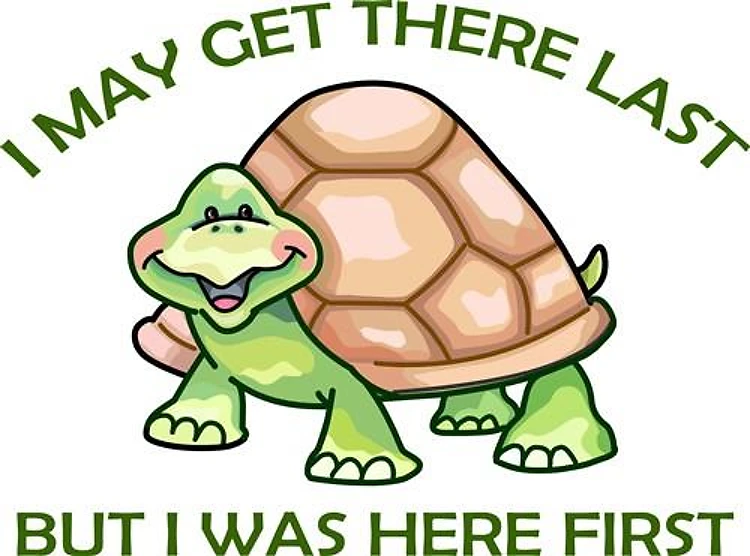TURTLE