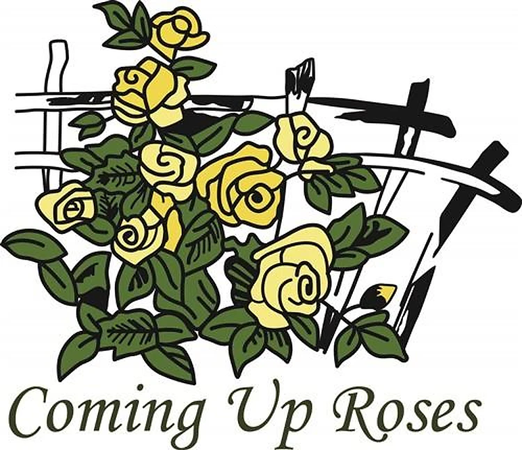 COMING UP ROSES