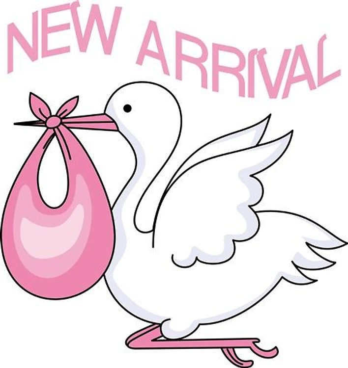 BABY GIRL STORK