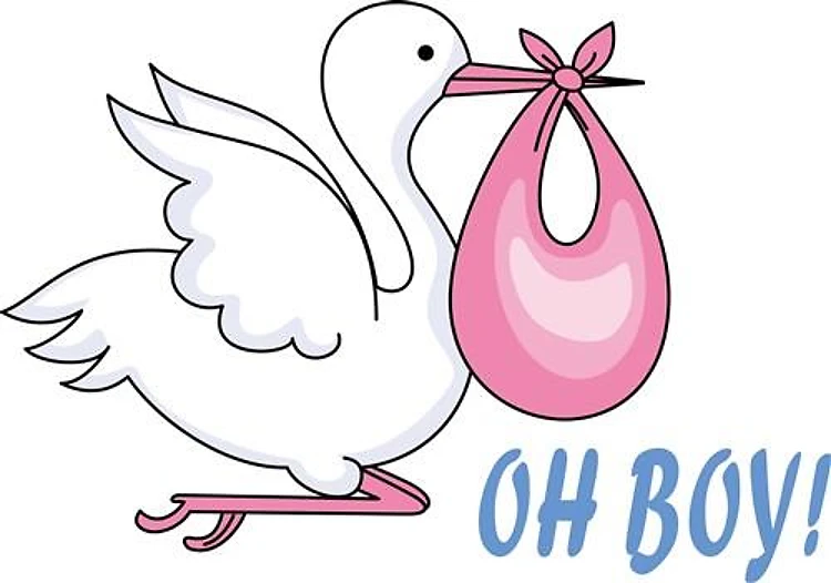 BABY BOY STORK