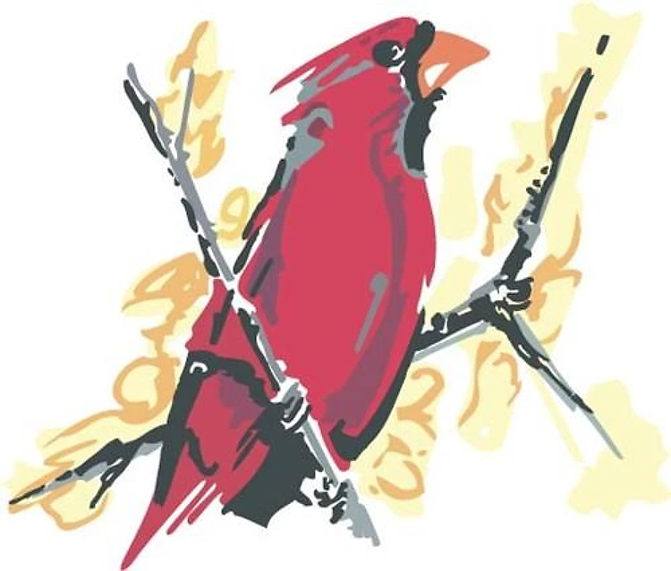 CARDINAL BIRD