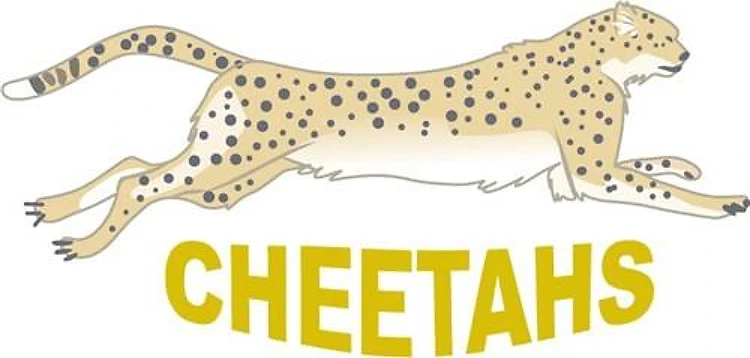 TEAM CHEETAHS