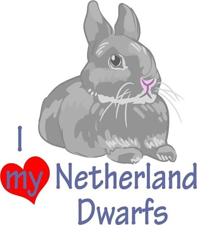 LOVE MY NETHERLAND DWARFS