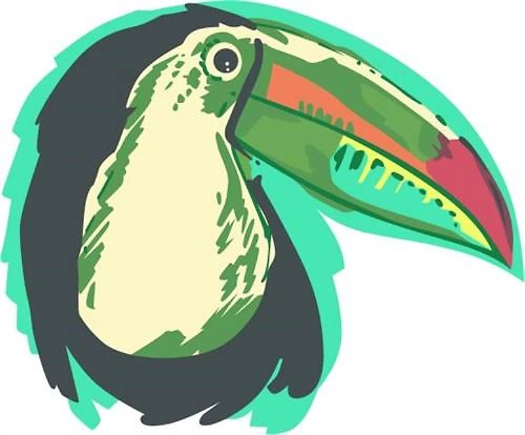 TOUCAN BIRD