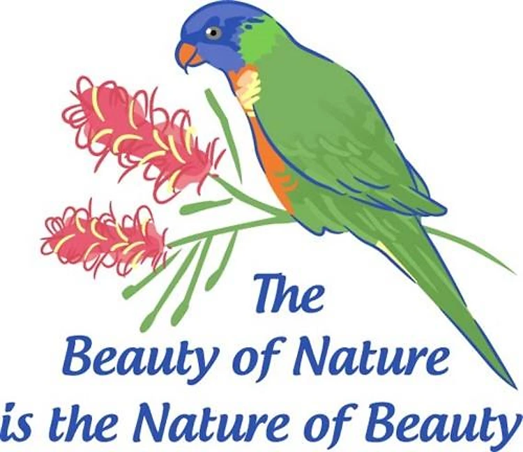 THE BEAUTY OF NATURE