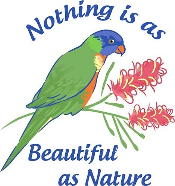 NOTHING IS AS BEAUTIFUL