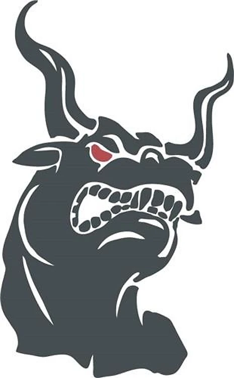 ANGRY BULL