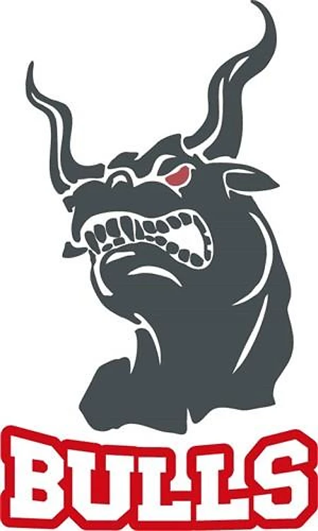 TEAM BULLS