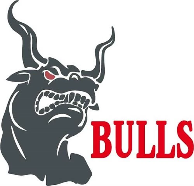 TEAM BULLS