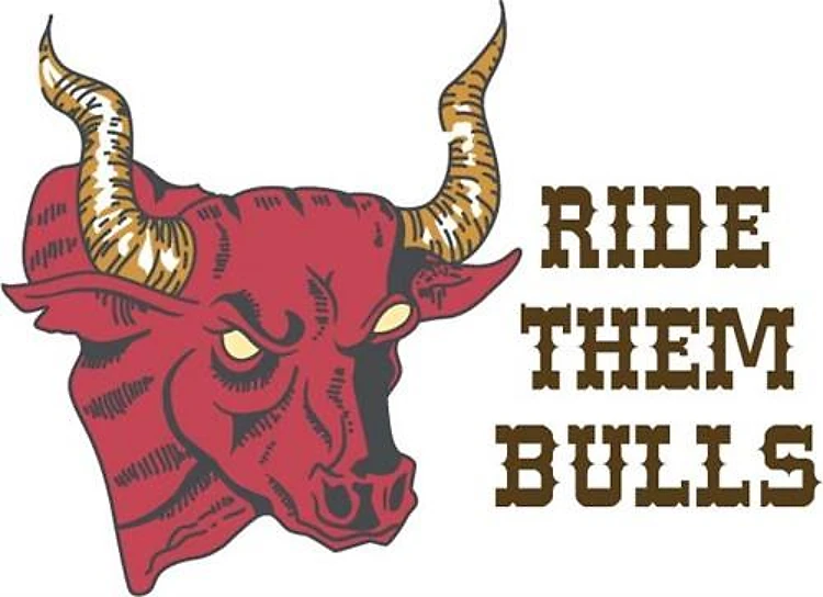 RIDE THEM BULLS