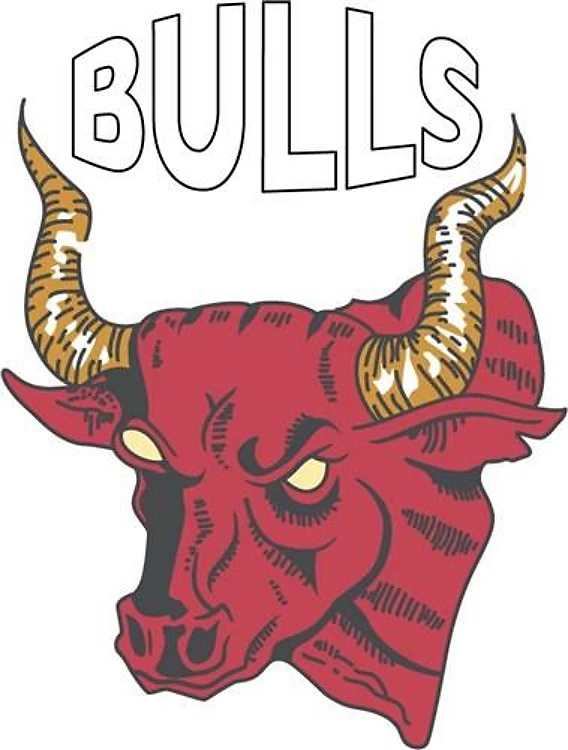 BULLS MASCOT