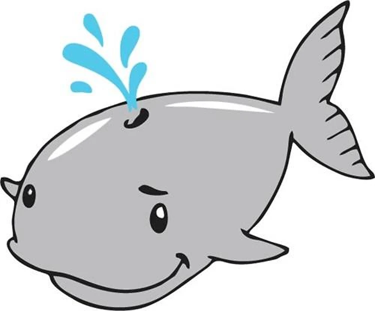 BABY WHALE