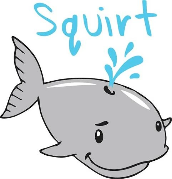 WHALE SQUIRT