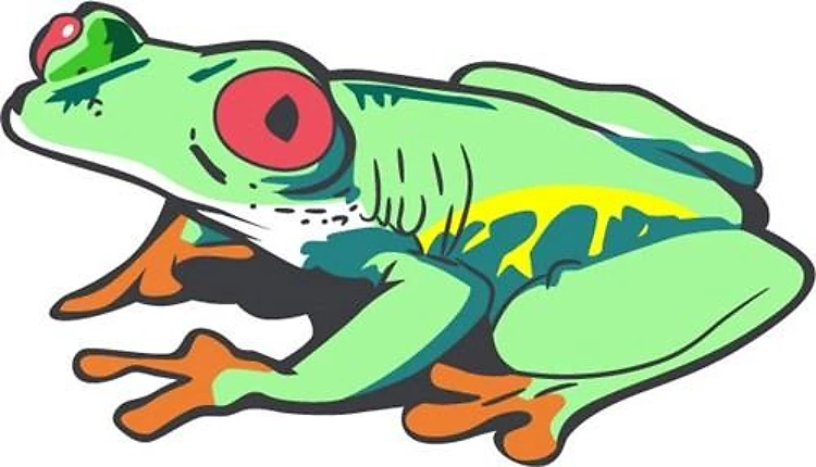 RED EYED TREE FROG