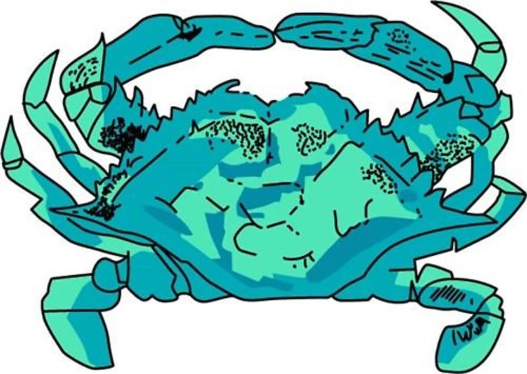 BLUE CRAB