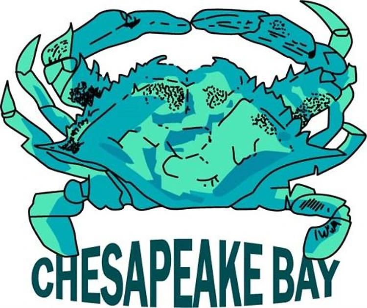 CHESAPEAKE BAY CRAB