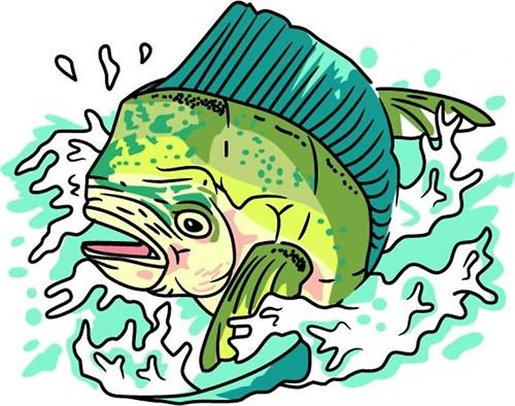 DOLPHIN FISH