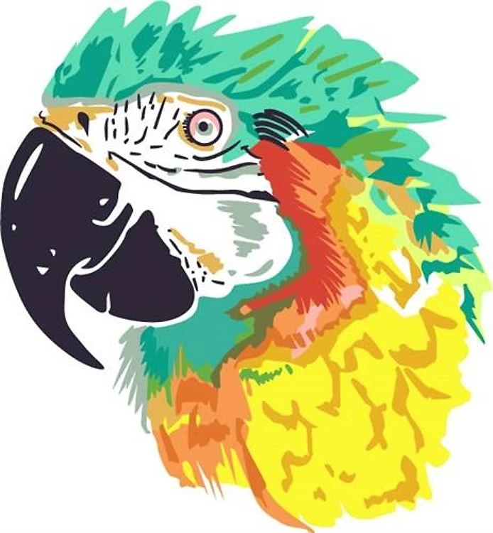 CATALINA MACAW PARROT