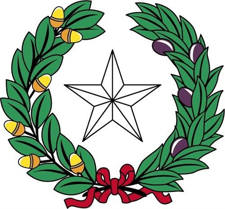 TEXAS STATE OF ARMS