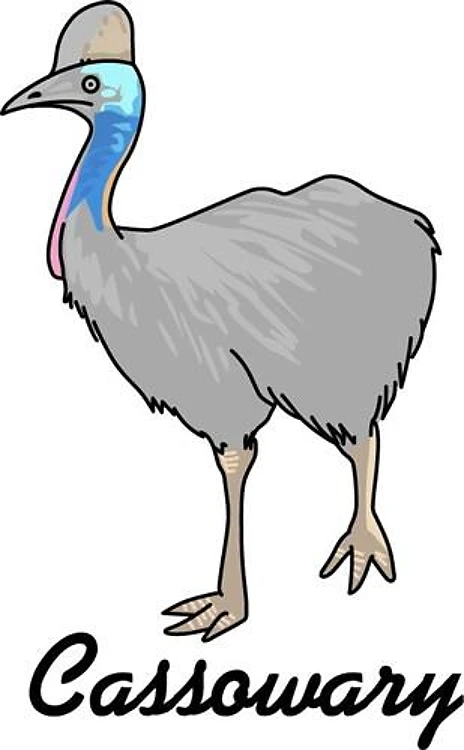 CASSOWARY