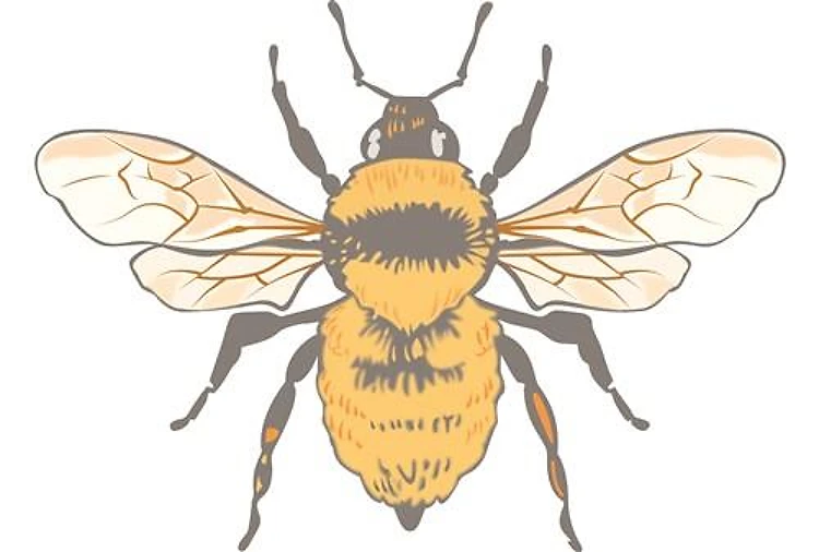 Realistic Bumblebee